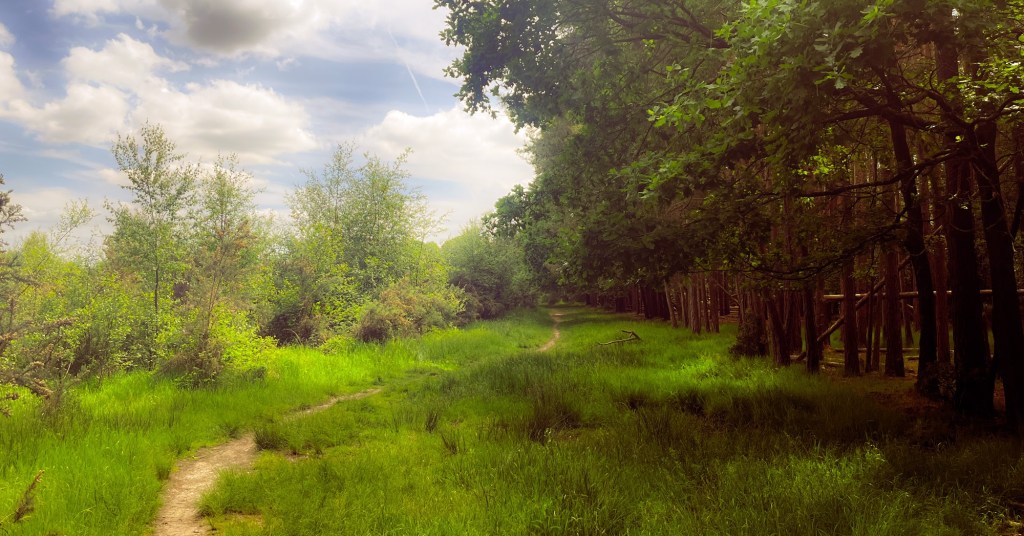 GenAI, Uncertainty, and the Case for&nbsp;Curiosity